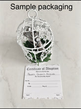 Load image into Gallery viewer, Raven Queen Rhea