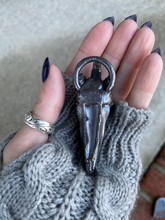 Load image into Gallery viewer, Raven King Jake